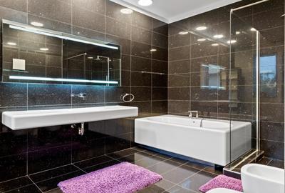 LUXURY VILA IANCU NICOLAE - 15