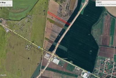 Teren 8100mp langa noua Centura Vladimirescu-Sinicolau si Fantanele - 9