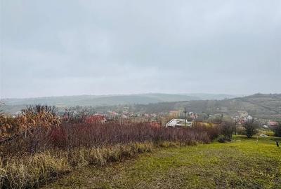 Teren Intravilan 2149 mp strada Sofiei - 3