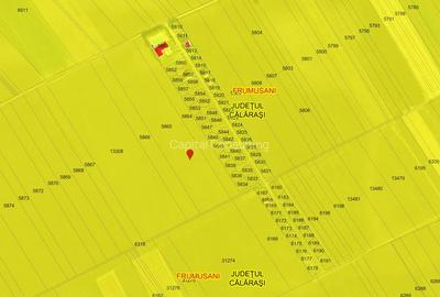 Frumusani-Pasarea '70 loturi cu drum într-o zona in dezvoltare - 4