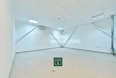 Hală industrială 824 mp de vânzare în Zona Industrială Sud Arad acces rapid A1 - 7