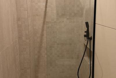 Penthouse la prima inchiriere str C Brancusi - 18