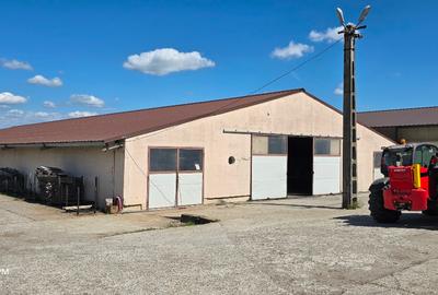 Proprietate imobiliara, Com. Farcasa, jud. Maramures - 2