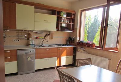 SNAGOV vila foarte spatioasa, curte amenajata, garaj, panouri fotovoltaice - 1