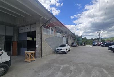 Hala de productie 540mp de închiriat în Borsa pe DN 18 spre Complex - 5