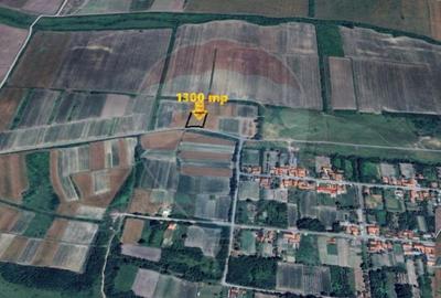 Teren 1,300mp Paru / Soseaua Principala - 1