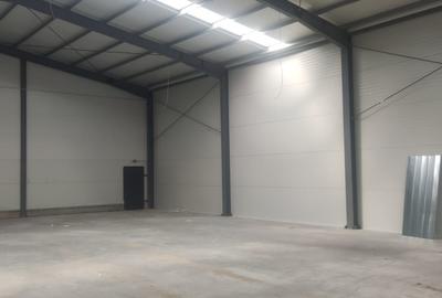 2 hale noi 2025 Afumati- Moara Domneasca - 7