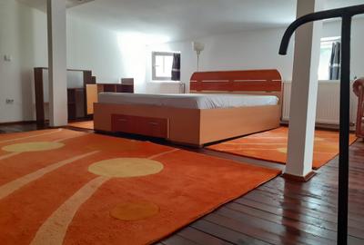 Vanzare casa  individuala - Zona Aviatorilor - Clucerului - 16