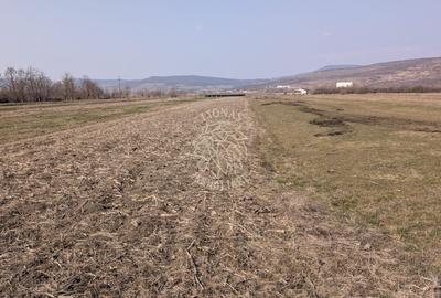 Teren Construcții intravilan de 2600 mp, în Orheiu Bistriței