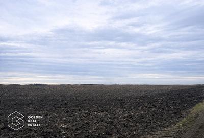 Teren agricol de vanzare, 17.900 mp, comuna Utvin - 2