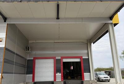 De vanzare hală de 2.450 mp cu Chirie Garantată Mogosoaia - 3