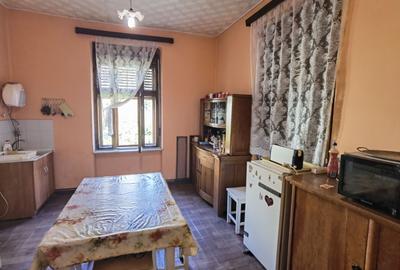 Casa vacanta,investitie  in Gurahont cu teren generos - 7