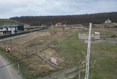 OFERTA EXCLUSIVA: Teren pentru construcție - deschidere mare la drum județean - 2