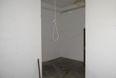 Inchiriere spatiu comercial Teiul Doamnei - 29