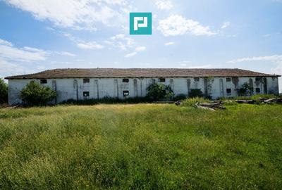 Hală industrială cu teren generos în Zărand, Arad - 8