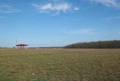 GANEASA, langa lac, padure si vile, 1075 mp. teren construibil - 5