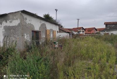 Teren pe fosta ferma a fabricii de zahar Bod