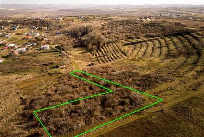 Teren intravilan de 3464 mp, în Oncea