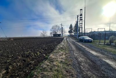 Teren Tohanu Vechi 5 km Bran 25 km Brasov