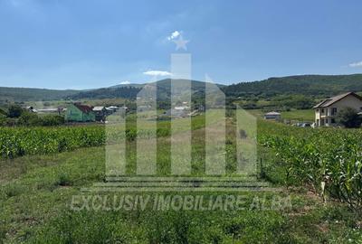 Teren intravilan | De vanzare | 5100 mp | 15 ml | Micesti - 3