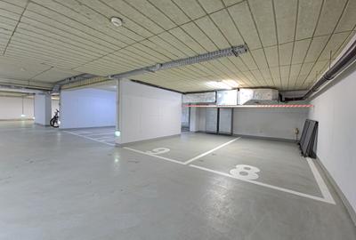 Apartament cu gradina Primaverii - 20