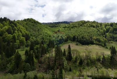 Extravilan + Intravilan | Sătic-Rucăr | Cadru natural | Turistic - 2
