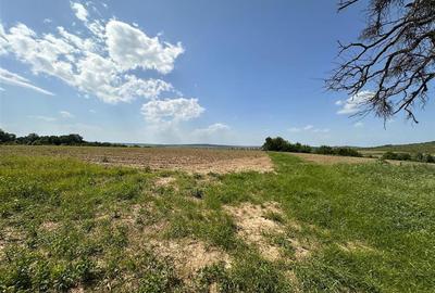 Teren langa padure pentru casa, Cercu, Barnova, de la 500mp la 4000mp - 6