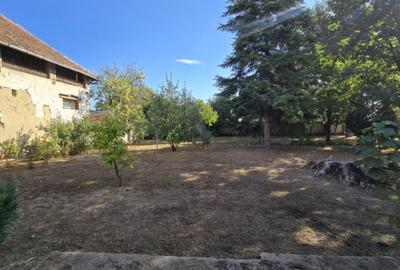 Cenad-Casa individuala -teren 549mp - 9