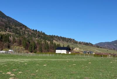 Teren intravilan In Zarnesti zona Plaiul Foii deschidere asfalt si priveliste - 10