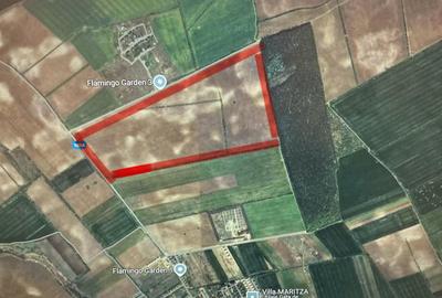 Teren 45 ha oportunitate investitie-dezvoltare Corbeanca- Comision 0 - 2