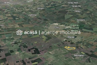 Teren 42 ha pentru parc fotovoltaic – Macea, Arad - 4