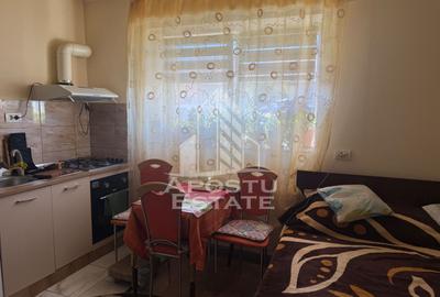 Casa individuala cu 193 mp utili in Timisoara - 9