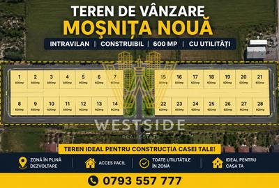 Teren de vanzare, in Mosnita Noua - 1
