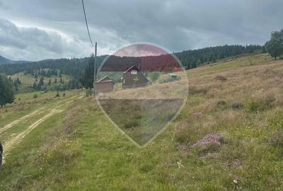 Teren 2,42 ha in Poiana Horea | Cadru montan | Potential turistic - 3