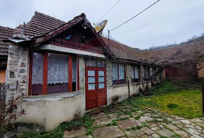Casă cu farmec tradițional în Săliște – 1.000 mp teren, priveliște! - 4
