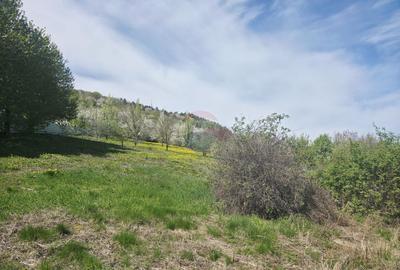 Teren 1,000mp Piatra-Neamt / Zona Fermelor - 10