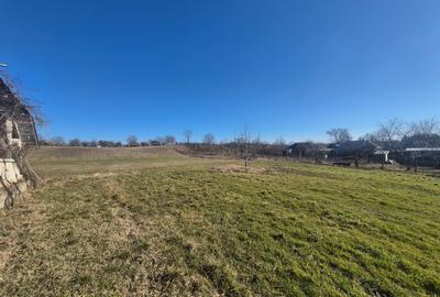 Casa si teren com Zanesti - 4