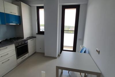 Iancu Nicoae/Privighetorilor/Apartament cu 2 camere/ - 4