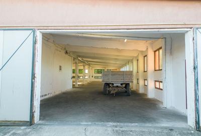 Hală industrială cu multiple destinații în Nădlac - 40