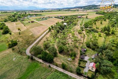 FILM! Confortabila ariere, 4.500 mp, arbori roditori, Sancraiu,Covasna - 8