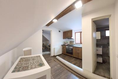 Apartament  la casa, centrul istoric - format din 2 garsoniere - 9