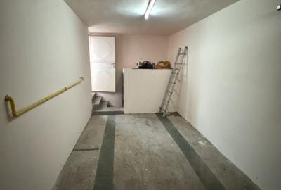 Vila P+1, Ultracentral - str. Alexandru Vlahuta - 20