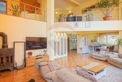 VILA SANNE – 10 camere, teren 1300 mp, Hălchiu - 26