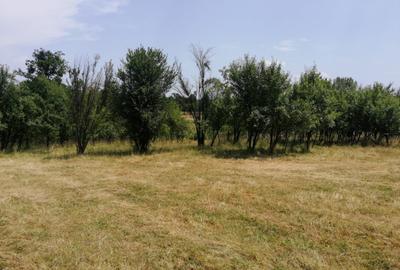 Teren Tismana - sat Gornovita - 3