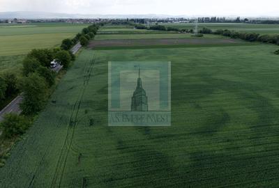 Teren intravilan 50000 mp, cu PUZ, Aprobat - zona Halchiu/Codlea - 4