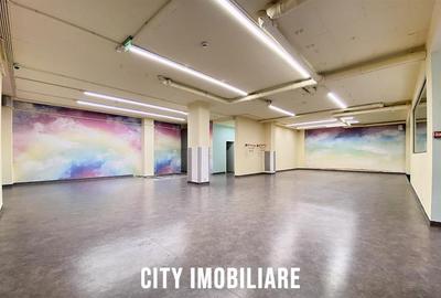 Spatiu comercial 250 mp + terasa 70 mp, Grigorescu, Parter, Ideal HoReCa   Showr - 11