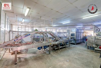 Vanzare fabrica de napolitane si dulciuri - jud. Giurgiu - 10