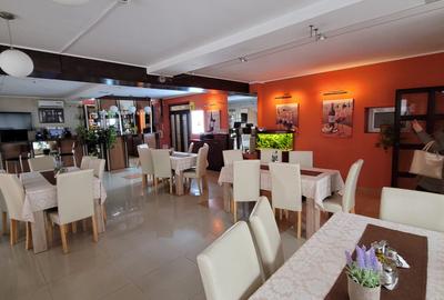 Hotel mobilat utilat teren 1300 mp. Functionează și produce venituri - 1