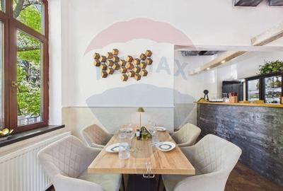 Afacere de vanzare, restaurant Gradina Icoanei - 7