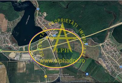 Teren agricol extravilan de 300000 mp, în Cernica
